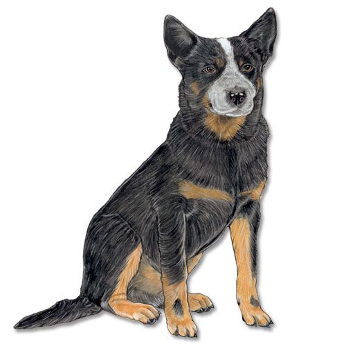 Wooden Dog Breed Magnets - Over 75 Breeds Available!