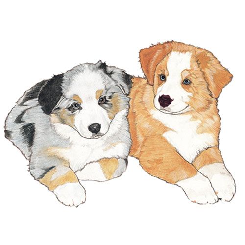 Wooden Dog Breed Magnets - Over 75 Breeds Available!