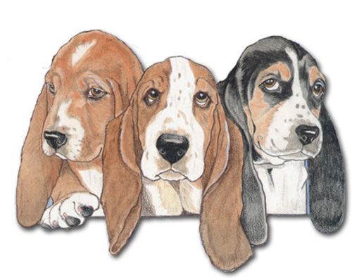 Wooden Dog Breed Magnets - Over 75 Breeds Available!