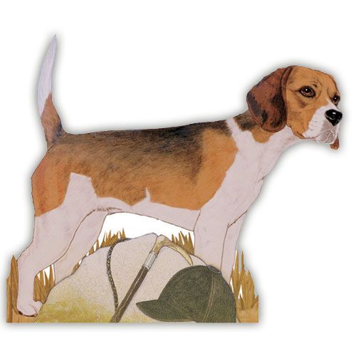 Wooden Dog Breed Magnets - Over 75 Breeds Available!