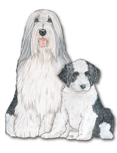 Wooden Dog Breed Magnets - Over 75 Breeds Available!