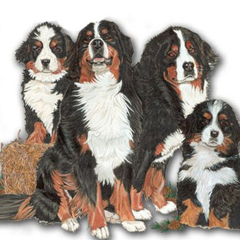 Wooden Dog Breed Magnets - Over 75 Breeds Available!