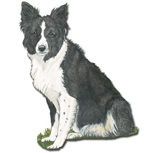 Wooden Dog Breed Magnets - Over 75 Breeds Available!