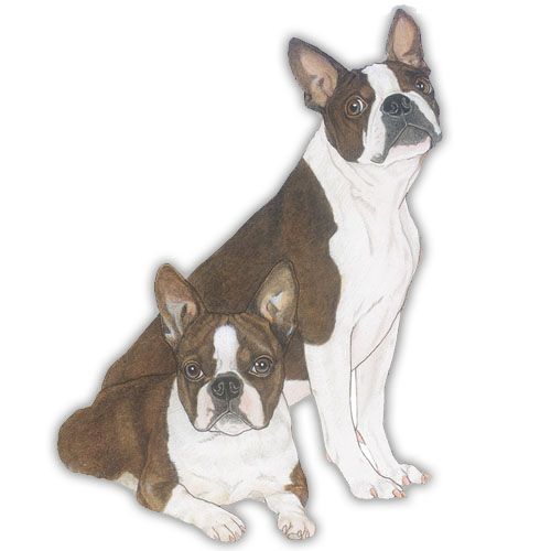 Wooden Dog Breed Magnets - Over 75 Breeds Available!