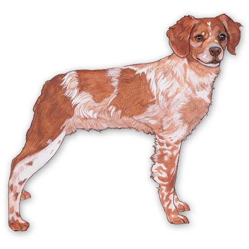 Wooden Dog Breed Magnets - Over 75 Breeds Available!