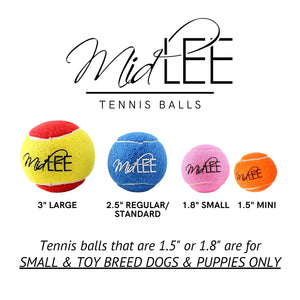 Holiday Tennis Balls for Dogs