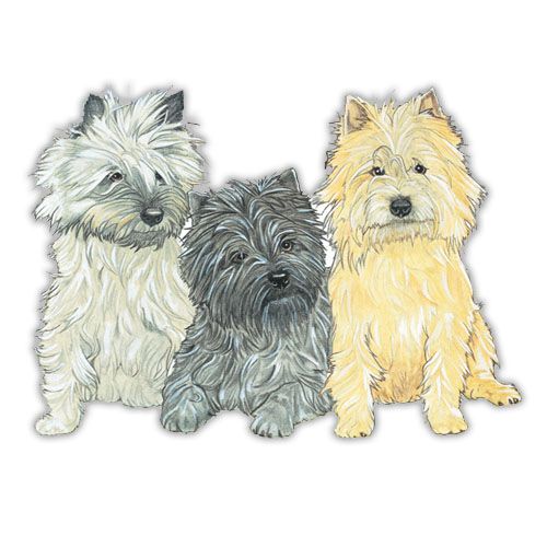 Wooden Dog Breed Magnets - Over 75 Breeds Available!