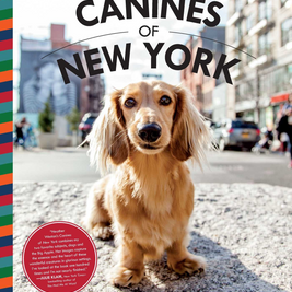 Canines of New York by Heather Weston