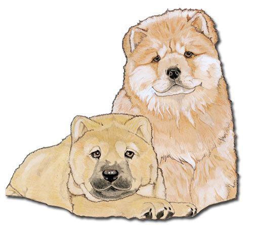 Wooden Dog Breed Magnets - Over 75 Breeds Available!