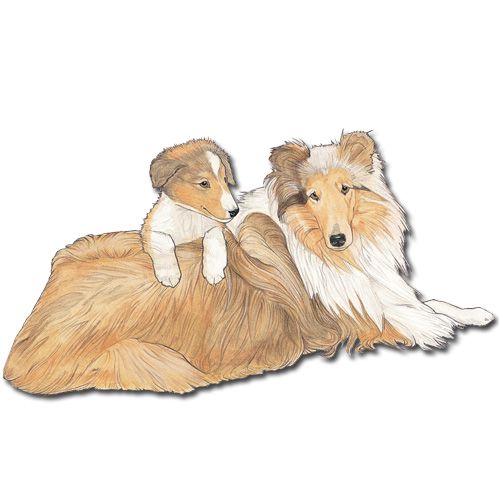 Wooden Dog Breed Magnets - Over 75 Breeds Available!