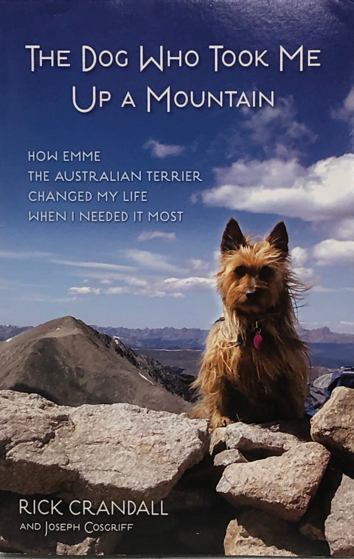 The Dog Who Took Me Up a Mountain