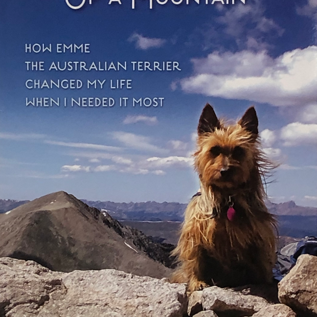 The Dog Who Took Me Up a Mountain