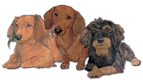 Wooden Dog Breed Magnets - Over 75 Breeds Available!
