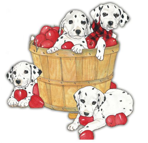 Wooden Dog Breed Magnets - Over 75 Breeds Available!