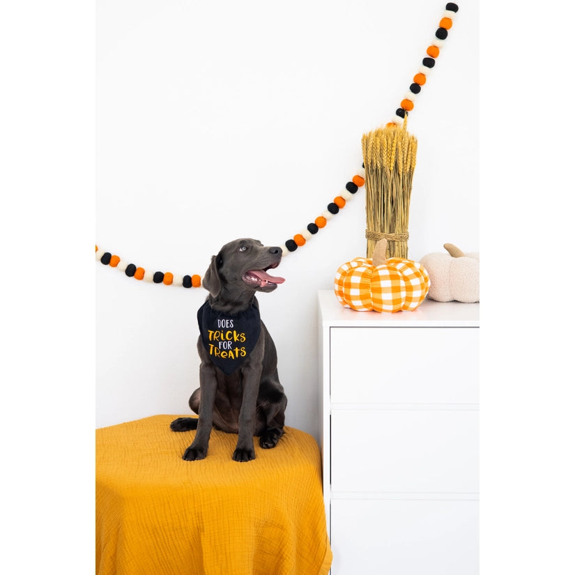 Trick or Treat Bandana