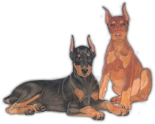 Wooden Dog Breed Magnets - Over 75 Breeds Available!
