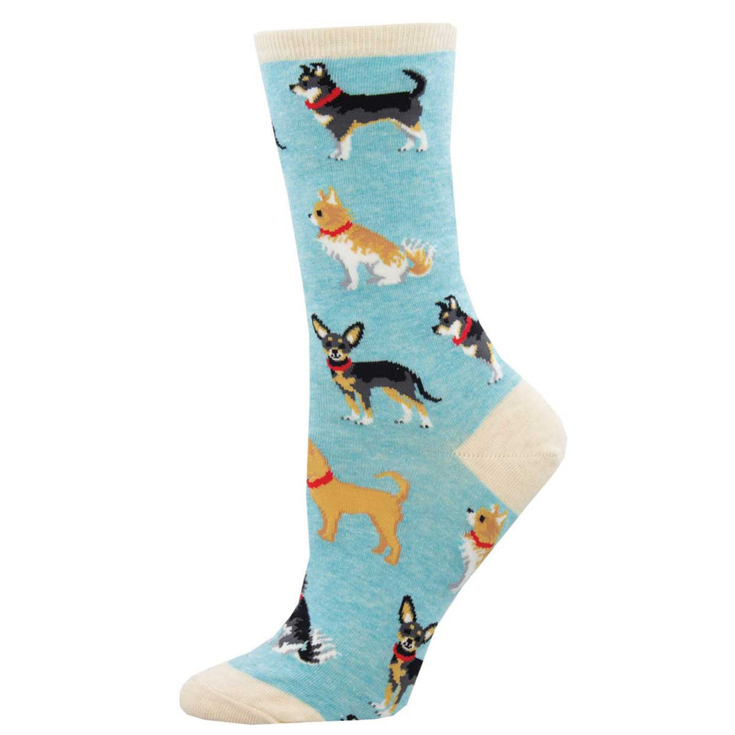 Chihuahua Style Socks by Socksmith in Multiple Colors!