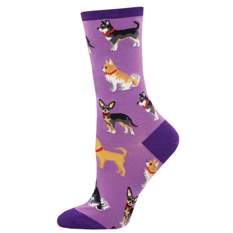 Chihuahua Style Socks by Socksmith in Multiple Colors!