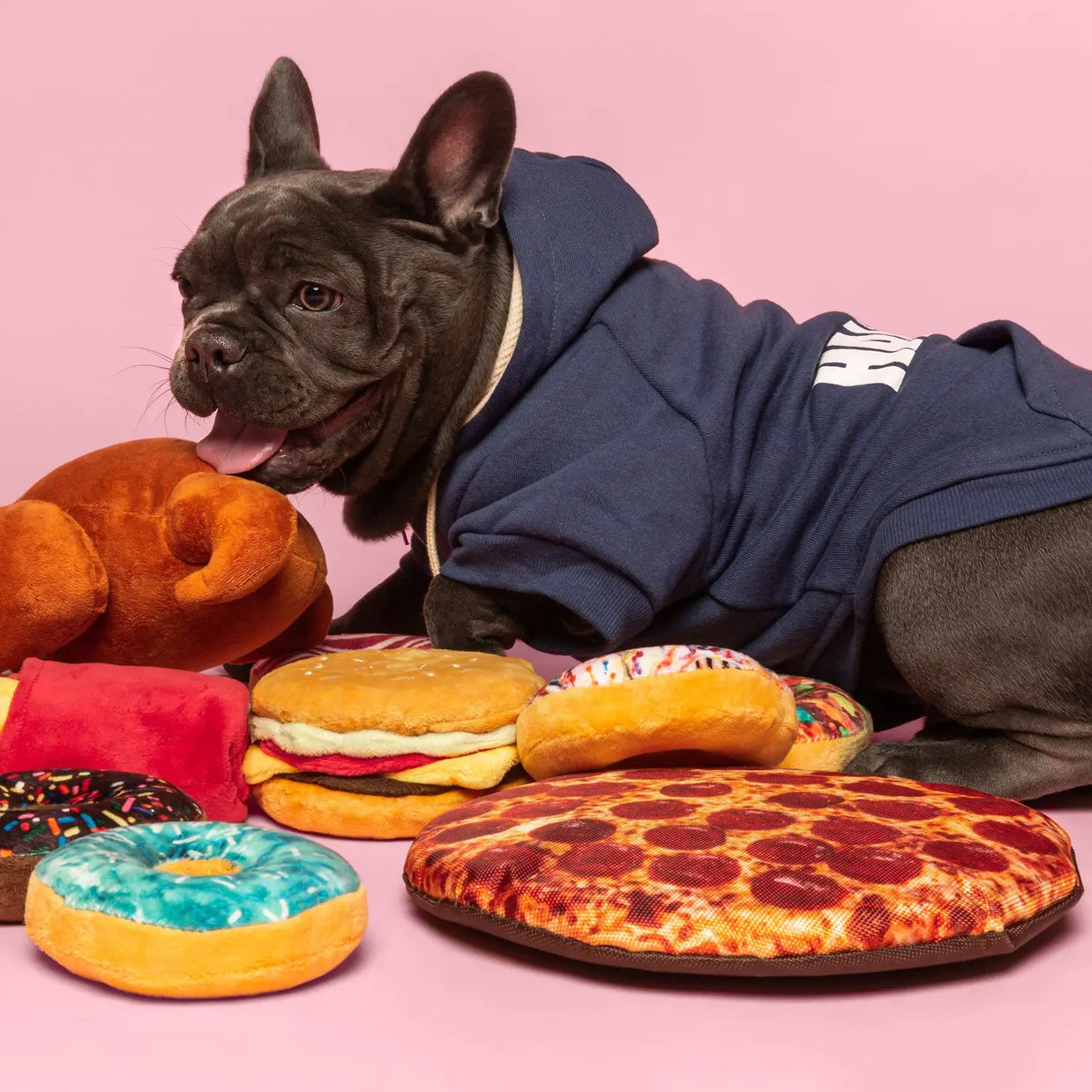 Food Themed Squeaky Toys