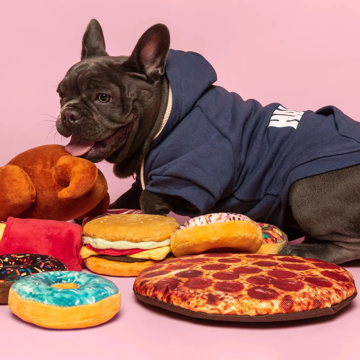 Food Themed Squeaky Toys