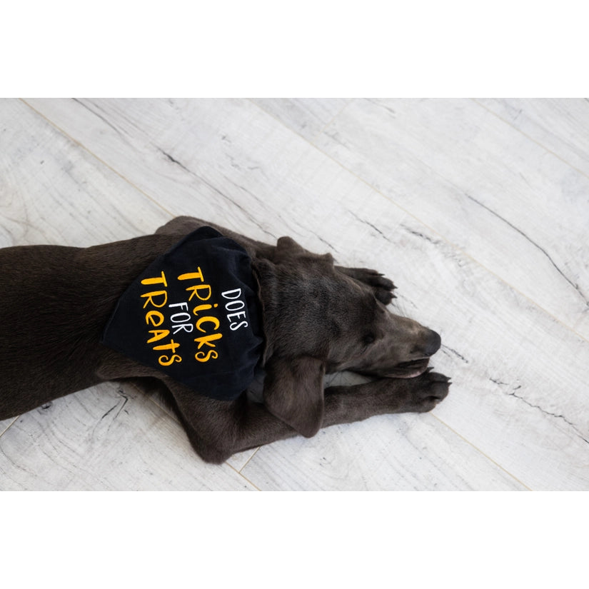 Trick or Treat Bandana