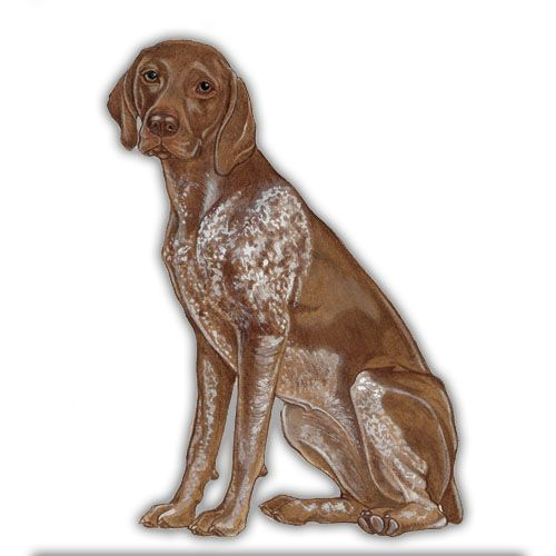 Wooden Dog Breed Magnets - Over 75 Breeds Available!