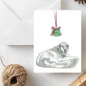 Fable & Sage Holiday Card 10 Packs