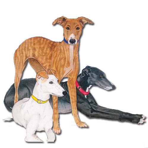 Wooden Dog Breed Magnets - Over 75 Breeds Available!
