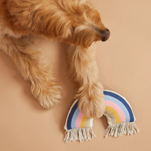 Load image into Gallery viewer, Canvas Dog Toys by Harry Barker
