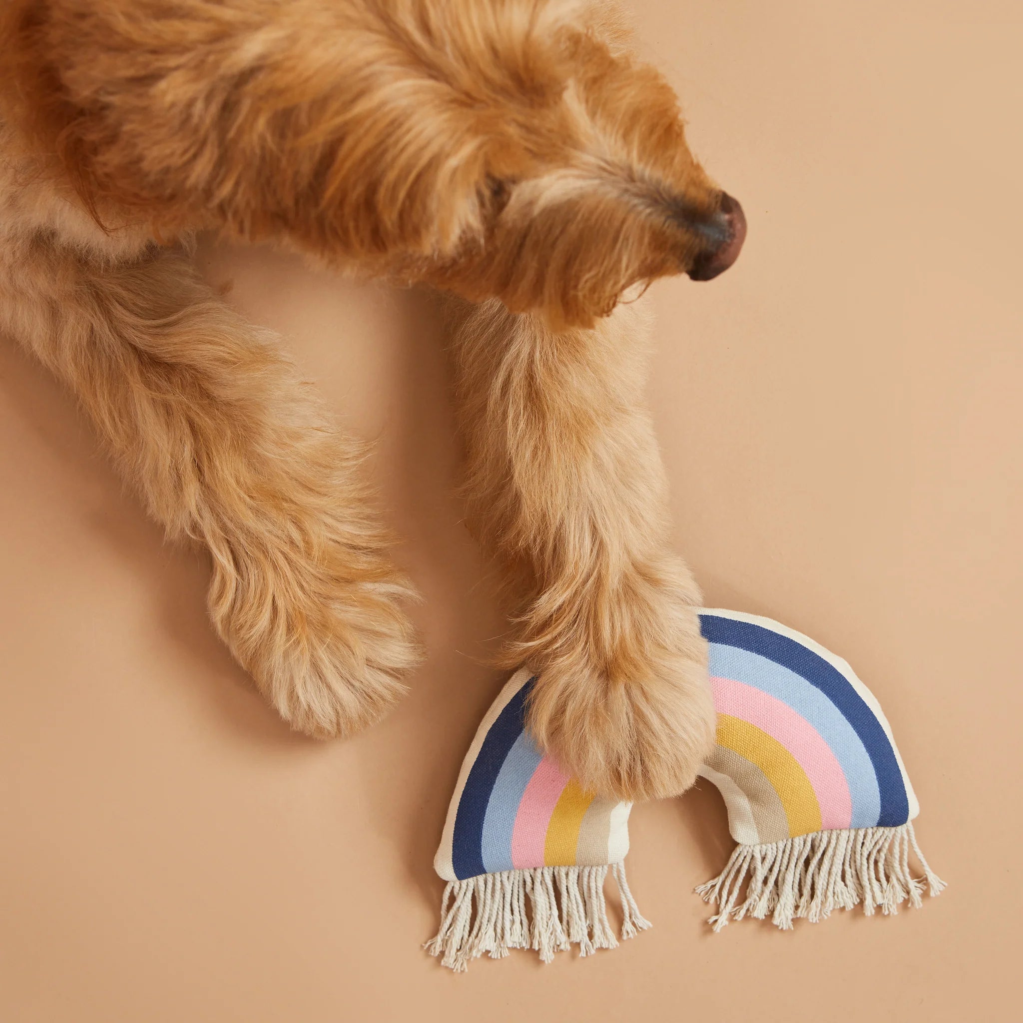 Plush Dog Toys by Harry Barker