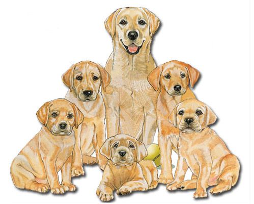 Wooden Dog Breed Magnets - Over 75 Breeds Available!