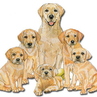 Wooden Dog Breed Magnets - Over 75 Breeds Available!