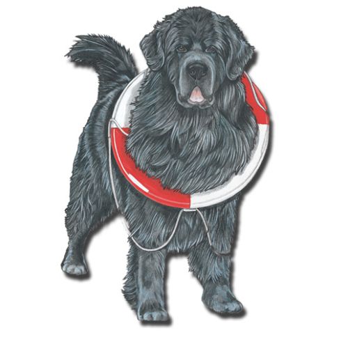 Wooden Dog Breed Magnets - Over 75 Breeds Available!