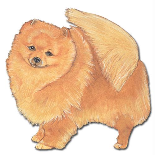 Wooden Dog Breed Magnets - Over 75 Breeds Available!