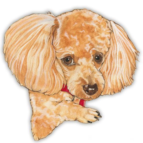 Wooden Dog Breed Magnets - Over 75 Breeds Available!