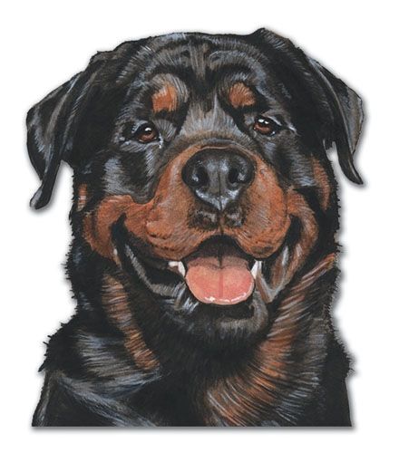 Wooden Dog Breed Magnets - Over 75 Breeds Available!