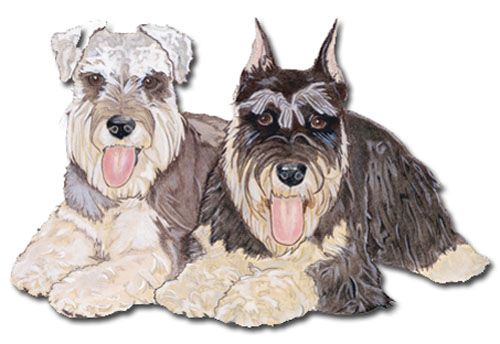 Wooden Dog Breed Magnets - Over 75 Breeds Available!