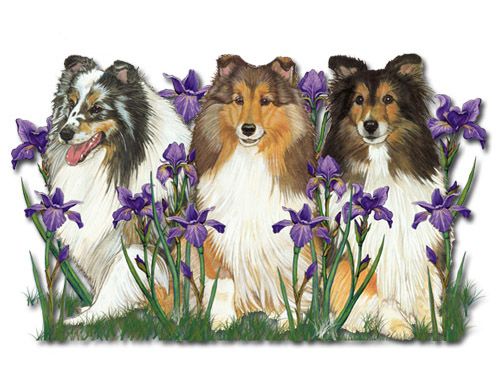 Wooden Dog Breed Magnets - Over 75 Breeds Available!
