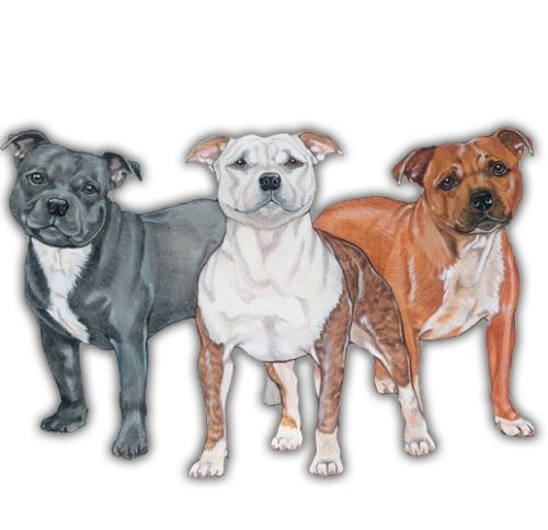 Wooden Dog Breed Magnets - Over 75 Breeds Available!