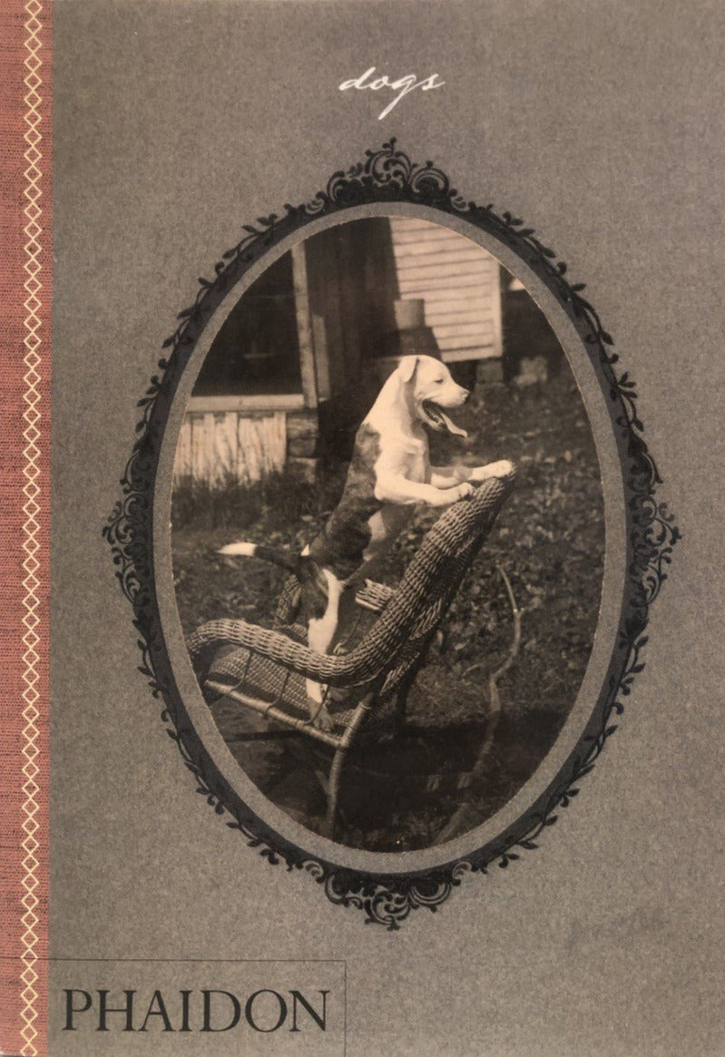 Dogs: Collected by Catherine Johnson