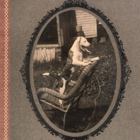 Dogs: Collected by Catherine Johnson