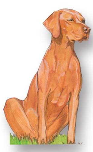 Wooden Dog Breed Magnets - Over 75 Breeds Available!
