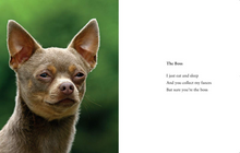 Load image into Gallery viewer, What I Lick Before Your Face &amp; Other Haikus by Dogs
