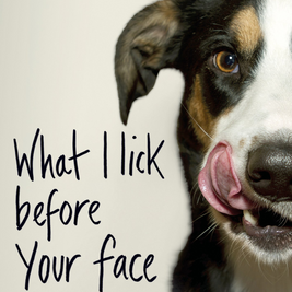 What I Lick Before Your Face & Other Haikus by Dogs