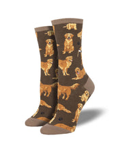 Load image into Gallery viewer, Golden Retrievers Socks by Socksmith in Multiple Colors!
