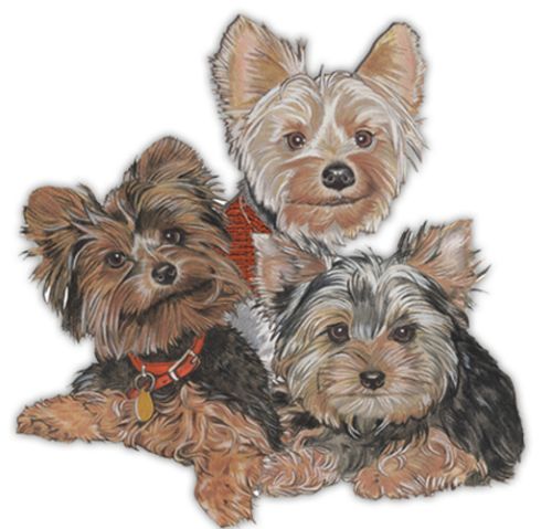 Wooden Dog Breed Magnets - Over 75 Breeds Available!